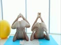 Yoga before sex