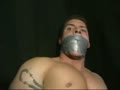 ace