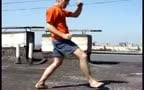 Roof fight