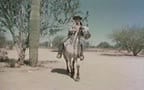 Vintage Cowbys