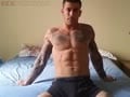MUSCLE