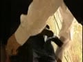 Police Officer Sucked