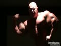 muscle