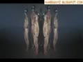naked Twinks and girls dancing