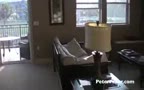 Peter Stalker 3