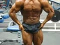 muscle show