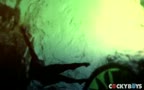 Demian Black fucks Tayte Hans0n