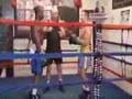 Boxers