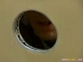 restroom fun