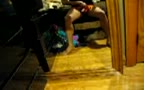 college jerk off