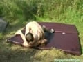 Boys wrestling