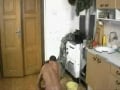 hot sex