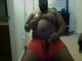 black bear