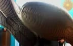 Str8 Hot Feet