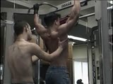 wild Muscle Worship