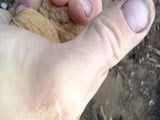Wall nuts
