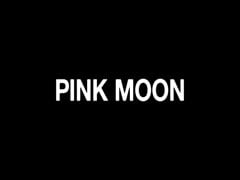 pink moon