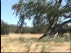 grunts behind the scenes
