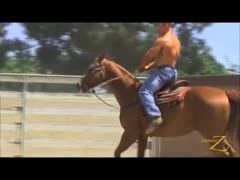 Con Demetriou cowboy