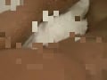 nice cock 2