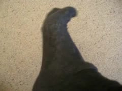 my feet out of sneakers