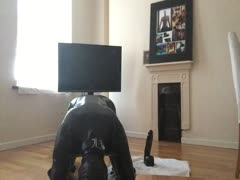 doggy rubber boy