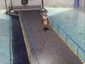 Animation1
