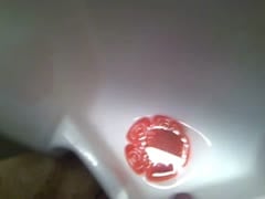 Singapore toilet