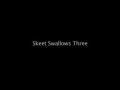 swallow