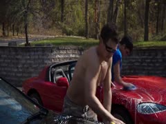 King Cobra