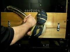 UA Tickle Boy - Clip 4