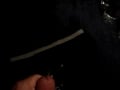 me cumming