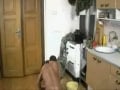 Bare Intruder