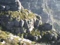 In Africa
