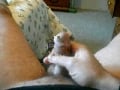 watch me cum