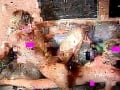 Twink Orgy Pt. 2