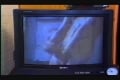 Simon Rex jerking video