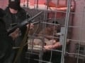 Jail House Orgy
