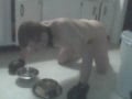 Cumstain eats dinner out of new bowl 1