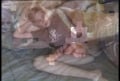twink wakes with hardon