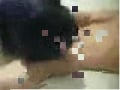 Sunderland Sex Tape