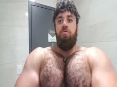 hairy muscle bear