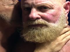 Hairy bearded bears passionate kissing