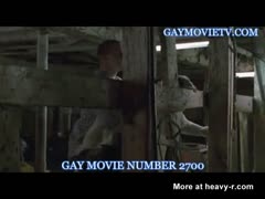 Sex and Violence in Film 97