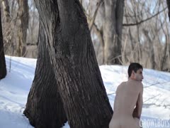 A Sudden Winter Dream
