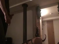 RUBBER DOGSLAVE 