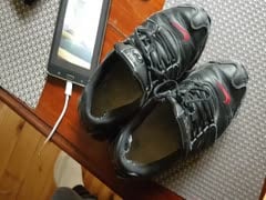 Shox