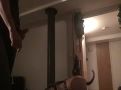 DOG SLAVE USED