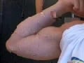 gay