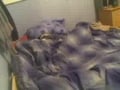 wank on bed